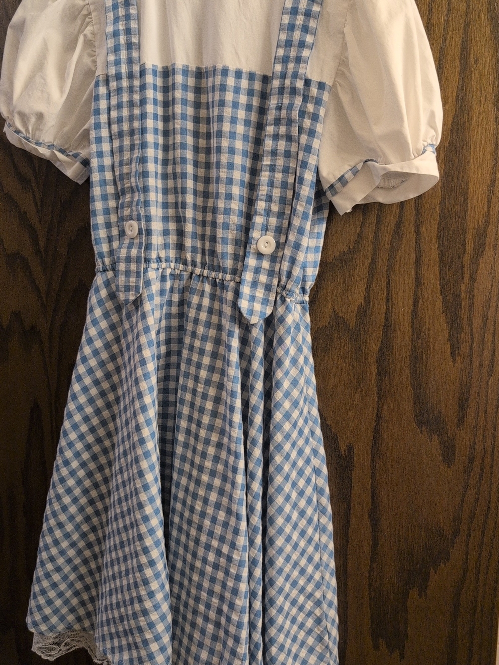 Women's Dorothy Costume